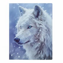 cat3760399303768-classeur-souple-a4 anonym-loup-blanc-polypro-1