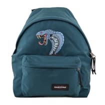 un-serpent-venimeux--recon26304833(5)