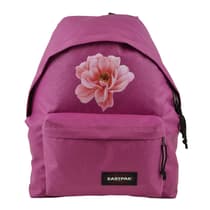 une-rose-recon26304604(4)
