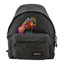 cheval-aux-couleurs-de-l'arc-en-ciel-recon26304734-(12)