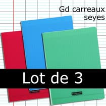 7048830-lot-3-cahiers-polypro-calligraphie-24x32-96p-seyes-90g