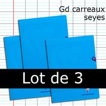 CLA323741-lot--cahiers-polypro-clairefontaine-bleu