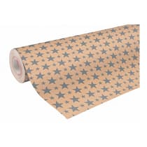 rouleau-de-papier-cadeau-clairfontaine-saumon-et-etoiles-argent-50mx70cm-223801C