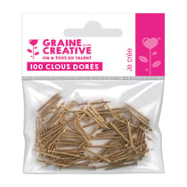 100-clous-dorees-graine-creative-609069