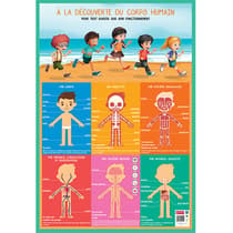 bopostcorps-poster-pedagogique-corps-humain-52-x-76-cm