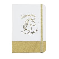 EC5025-carnet-licorne-A5-pages-unies (3)