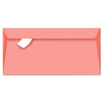 20-Enveloppes-litchi-Pollen-110-x-220