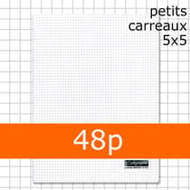 cahier-24x32-5x5-48pages-polypro-incolore