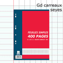100100996-400-pages-a4-feuillets-mobiles-seyes-70g