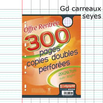 Fourniture-scolaire-en-ligne-300P_copies_double-90g-A4-perforer--grands-carreaux-seyes_4c21049f7e1ce