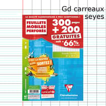 fourniture-scolaire-500P_Feuille_mobile-A4-perforer_4fe347ce57232