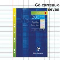 fcp01-0016-200-pages-a4-perforees-grands-carreaux-couleurs-assorties