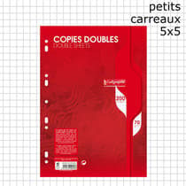 fournitures-scolaire-pas-cher-200P_copies_double-A4-5x5-70g-perforer-petit-carreaux_5154838c69d2c