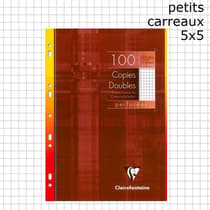 fcp02-0011-100-pages-copies-doubles-a4-clairefontaine-perforees-