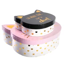 RG6219-2-boîtes-de-rangement-chat (4)