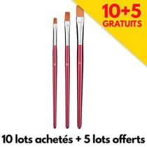 jpc680195-lot-de-3-pinceaux-n-6-n-10-n-14-plats-10achetes-5gratuits