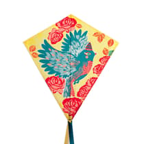 DJEDJ02153-cerf-volant-djeco-bird