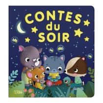 LIT41875-livre-enfant-contes-du-soir-les-albums-lito