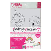 540219-kit-plastique-dingue-6-broches-kawaii