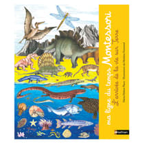 INT9782092789421-ma-ligne-du-temps-montessori-nathan-l-arrivee-de-la-vie-sur-terre-frise-de-2-5m