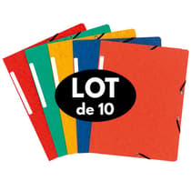 lot-de-10-chemises-cartonnées-avec-etiquettes-exacompta-350g-0721130-vignette-lot