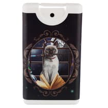 PUCHAND18-chat-2