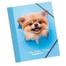 KIDKID01406CHIEN-Chemise-3-rabats-Little-Friends-Chien-carton