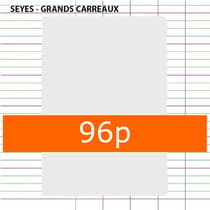 Cahier-scolaire-96-pages-Seyès-21x29,7-polypro-incolore-9461348