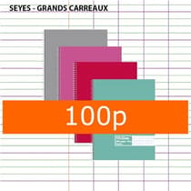 Cahier-spirale-reliure-intégrale-100-pages-70g-Seyès-17x22-couvertures--assorties-9514867