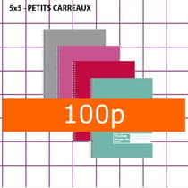 Cahier-spirale-100p-70g-petits-carreaux-21x29,7-couvertures-assorties-5279648