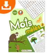 vignette-mots-meles-magma-editions-facile-volume-3