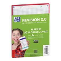 HAM400153466-32-fiches-bristol-revision-connectees-oxford-a5-petits-carreaux-perforees-cadre-rouge