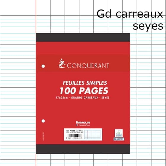 HAM100101970-100-pages-copies-simples-mobiles-17x22cm-grands-carreaux-seyes-perforees-1