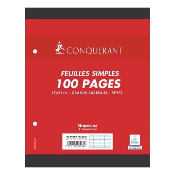 HAM100101970-100-pages-copies-simples-mobiles-17x22cm-grands-carreaux-seyes-perforees-2