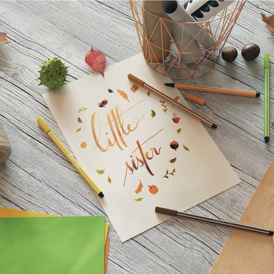 staf59509-15-feutres-stabilo-pen-68-edition-pastellove-6