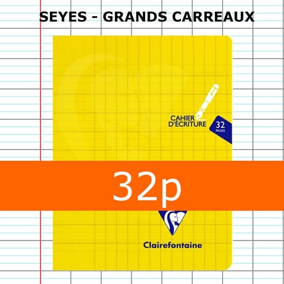 CLA303796C-Cahier-ecriture-CLAIREFONTAINE-Mimesys-Couverture-polypro-interligne-verticale-marge-3