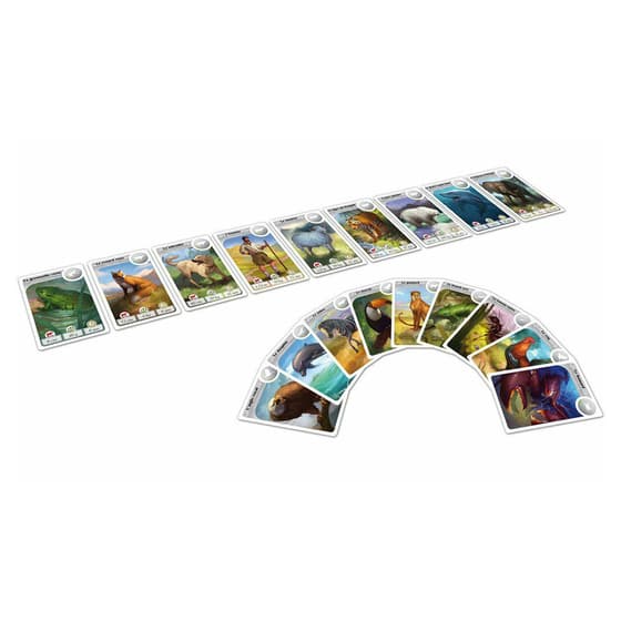asmcardanimfr-jeu-cardline-animaux-3