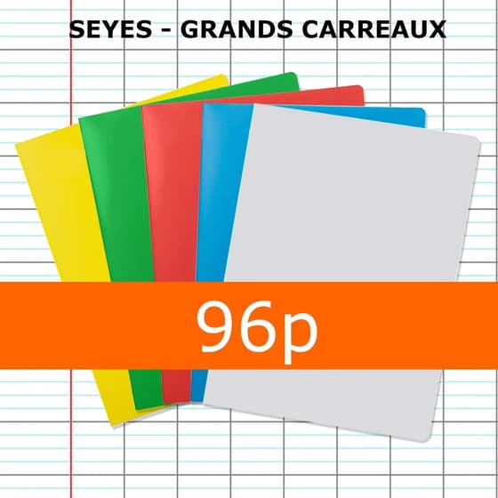 CLA18590BOXC-lot-de-5-cahiers-24x32-polypro-graphmate-96p-grands-carreaux-seyes-2