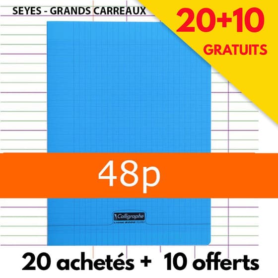 lot-de-20-cahiers-polypro-bleus-24x32-48p-grands-carrreaux-seyes-90g+10gratuits