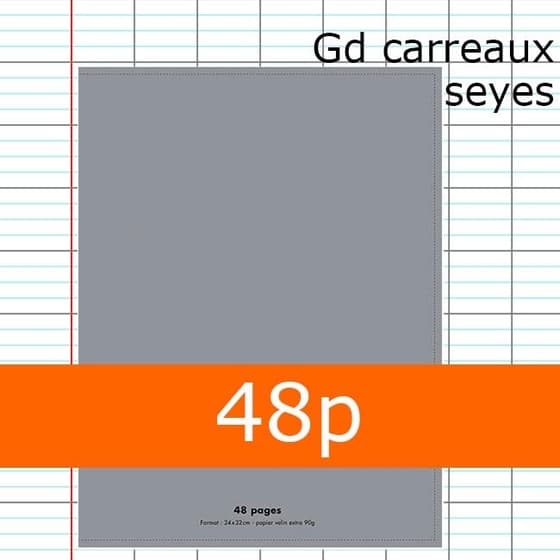 PLEIN-CIEL-A4-48-pages-seyès-polypro-gris
