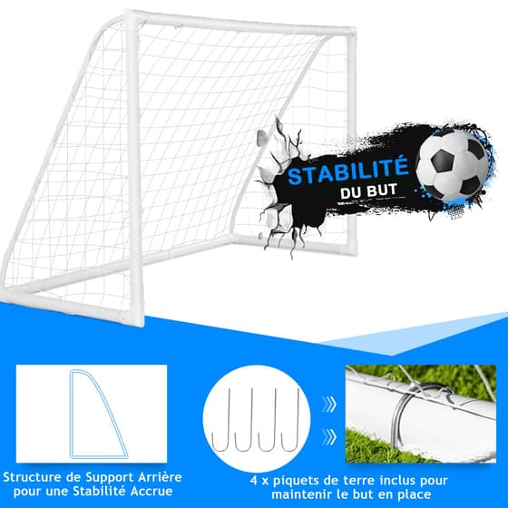 COSSP38022_additionalVisual_3