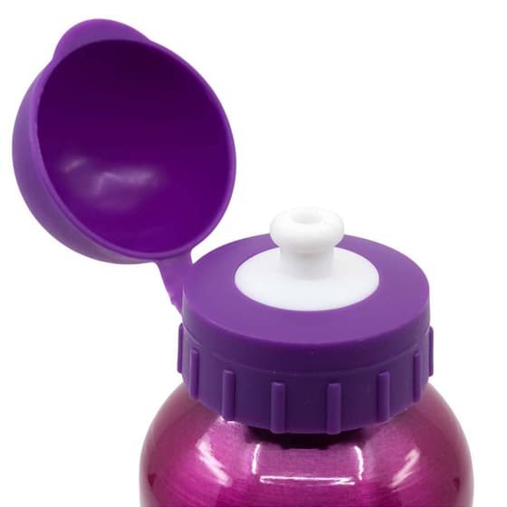 sto74534-gourde-enfant-aluminium-pat-patrouille-stella-400ml-1