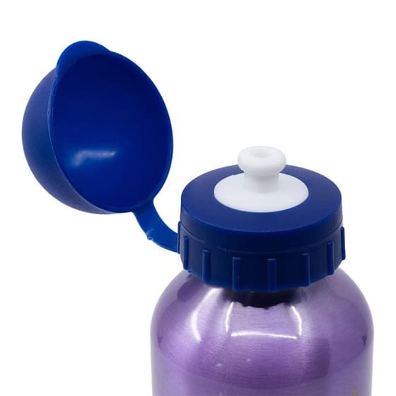 sto74234-gourde-enfant-aluminium-la-reine-des-neiges-trust-the-journey-400ml-1