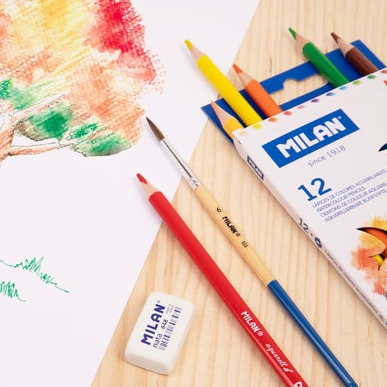 0742312-12-crayons-aquarellables-avec-pinceau-4
