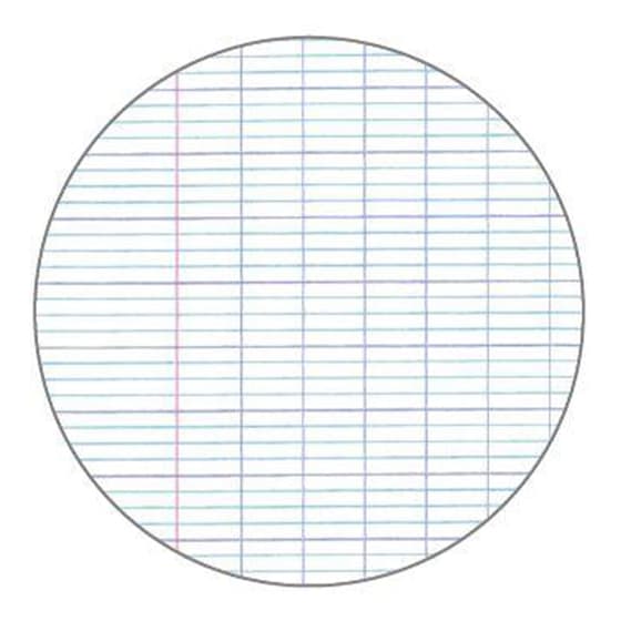 MR2104-bloc-notebook-a-spirale-a4-couverture-polypro-grands-carreaux-seyes-bleu-ciel-04