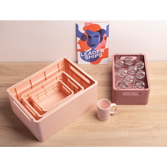exa27131d-caisse-de-rangement-pliable-exacompta-skandi-nude-5
