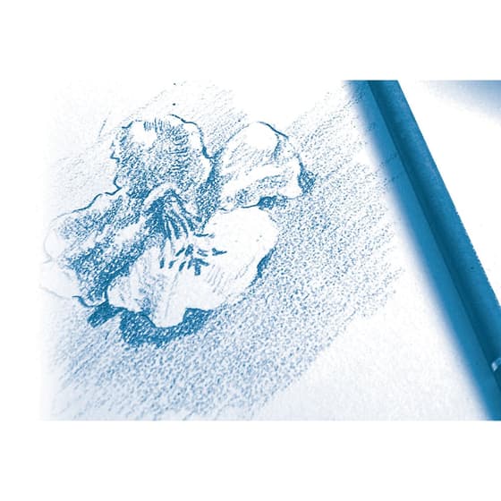 cla96628C-bloc-dessin-a-grain-clairefontaine-a4 -a-spirales-30-feuilles-180g-3