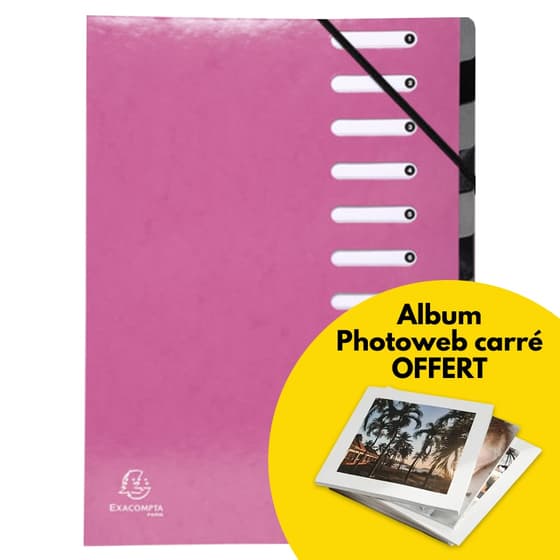 trieur-harmonika-exacompta-iderama-12-compartiments-rose-album-photoweb-offert