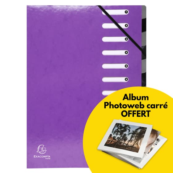 trieur-harmonika-exacompta-iderama-12-compartiments-violet-album-photoweb-offert