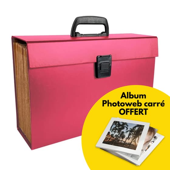 Trieur-valisette-Rose-EXACOMPTA-20-compartiments-+-Album-Photoweb-Offert